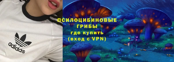 mdpv Горно-Алтайск