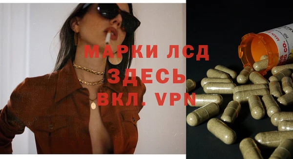 mdpv Горно-Алтайск