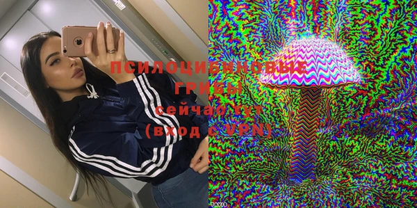 mdpv Горно-Алтайск