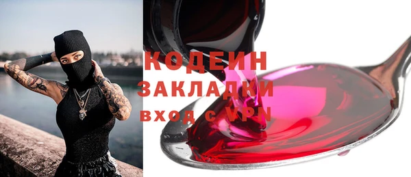 ешки Гусев