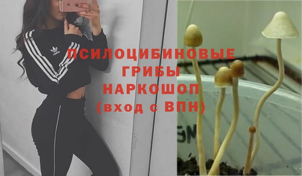 дмт Горняк