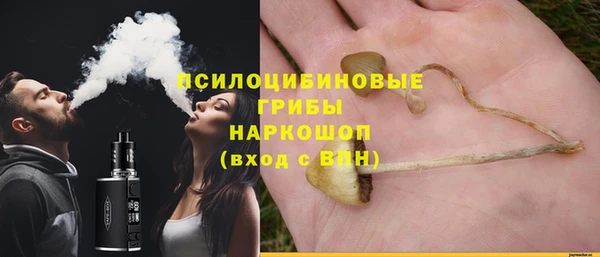 mdpv Горно-Алтайск