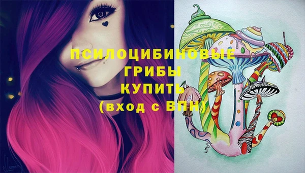 дмт Горняк