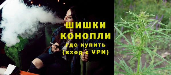 дмт Горняк