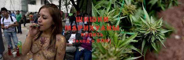 ПСИЛОЦИБИНОВЫЕ ГРИБЫ Горнозаводск
