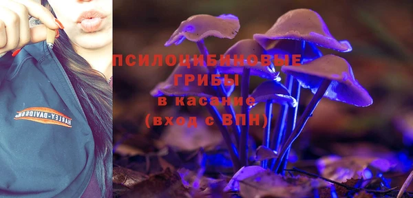 дмт Горняк