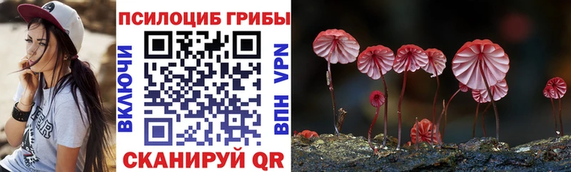 Псилоцибиновые грибы прущие грибы Карпинск